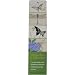 Birthdays and Special Events Calendar Dragonflies and Butterflies