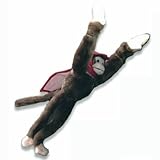 Slingshot Superfly MonkeyIMAGE