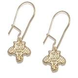 Florida Panthers 14K Gold Dangle Earrings