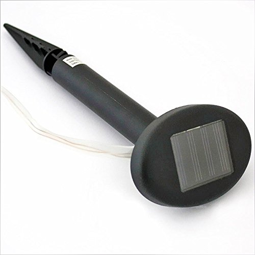 Imagen principal de Tira luces solares LED 7 m