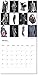 The Colors of Fashion 2015 Calendar