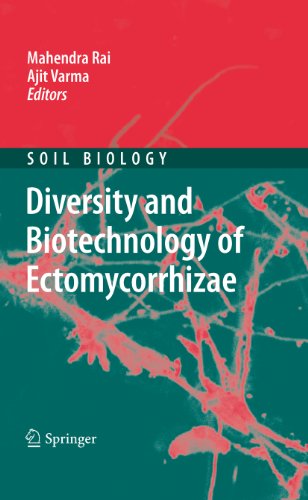 Diversity and Biotechnology of Ectomycorrhizae: 25 (Soil Biology)