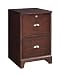 File Cabinet by Samuel Lawrence - Autumn Cherry (2445-955)