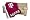 Texas A&M Aggies