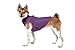 Gooby - Sports Vest, Fleece Lined Small Dog Cold Weather Jacket Coat Sweater with Reflective Lining, Purple, Large