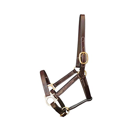 Gatsby Leather Company Stable Halter