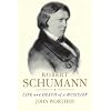 Robert Schumann: Life and Death of a Musician