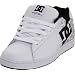 DC Men's Rob Dyrdek Skate Shoe