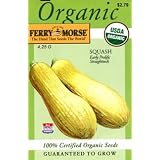 Ferry-Morse Organic Seeds 3129 Squash - Early Prolific Straightneck 4.25 Gram Packet