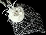Bridal Hat and Bird Cage Veil - White