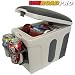 12V MINI COOLER/WARMER