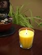 Filled Candle in Carmona Jar- Tropical Pineapple Scent, 12.5 oz
