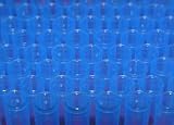 Blue Pipette Tips - 24