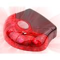 Ultrasport LED Fahrrad-R�cklicht inkl. Halterung  - 5 LED's