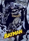 Huge Lot of 100 BATMAN comic books (Huge mixed lot of 100 Different BATMAN comics INSTANT COMIC COLLECTION: Batman titles may include the following: Detective Comics, Batman, World's Finest, Robin, Catwoman, and other of the Batman related titles)