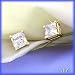 14K .33 (1/3) CTW Princess Cut Diamond Earrings