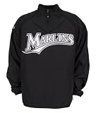 Florida Marlins - Baseball Logo In/Out Magnet MLB Pro Baseball