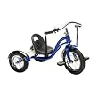 Schwinn Roadster 12-Inch Trike (Blue)