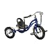 Schwinn Roadster 12-Inch Trike (Blue)