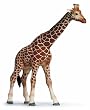 schleich tiere preise