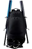 Expandable Bat Bag