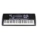 Spectrum AIL495 61 Note Keyboard Pack