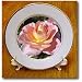Autumn Rose Beauty- Flowers- Floral Photography - 8 Inch Porcelain Plate