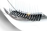 Crystal Eyeliner for Your Headlights