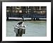 Pelican and Sea Birds on Post, Key West, Florida, USA Animals Framed Art Poster Print by R H Productions, 31x25