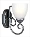 1 Light Sconce - Antique Pewter Finish : White Frosted Glass