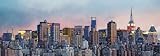 1art1 40529 New York - Manhattan Skyline 8-teilig, Fototapete Poster-Tapete (366 x 127 cm)