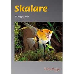 Skalare