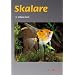 Skalare