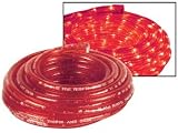 ROPE LIGHT - 30ft - RED