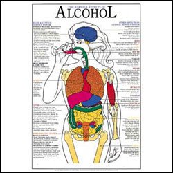 effects of alcohol