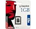 Kingston 1GB micro SD Card (Retail Package)