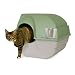 Covered litter boxes
