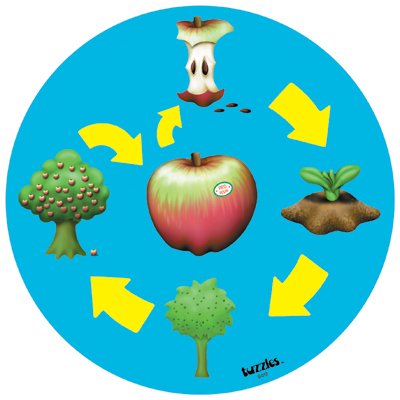 Tuzzles 8-S-013 Life Cycle- The Apple Puzzle