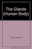 The human body: the glands