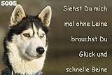 Metall - Warnschild Siberian, Sibirian, Sibirischer Husky