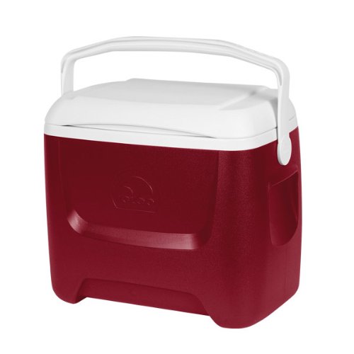 Igloo Island Breeze 28 Qt. Cooler