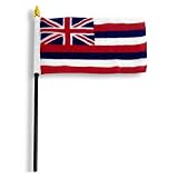 Hawaii Flag 4 x 6 inch