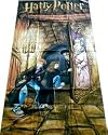 Harry Potter Past the Fat Lady - Ron & Hermione - Towel/Throw/Blanket