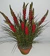 24" Silk Torch Flower and Wild Grass (red)