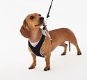 Doggles V Mesh Dog Harness, Gray/Black, Small