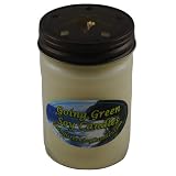 41xjQaQh5HL. SL160  New   Pure   Unscented Soy Candle   12 oz Jelly Jar by Going Green Soy Candles