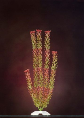 JW Pet Company Red Foxtail 15 in XLarge Aquarium Plant