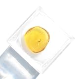 Real Honey Amber Stone with Insect Inclusion Comes Packaged Inside Clear Box With Magnifying Lens In Lid