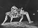 Cybernetic Anthropomorphous Machine, Demonstrating How It Can Walk 5 MPH, Lift 500 lbs, and Dance Photographic Poster Print by Yale Joel, 16x12