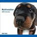 Rottweiler 2009 Calendar